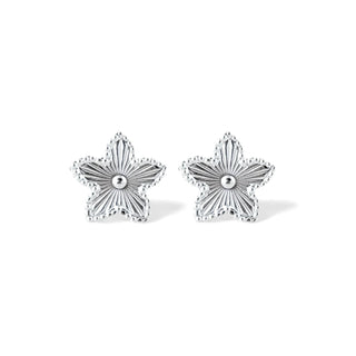 Brincos estrela frisada banhados a prata 925 da UNA Semijoias em fundo branco, com par delicado e texturizado em destaque ao centro.